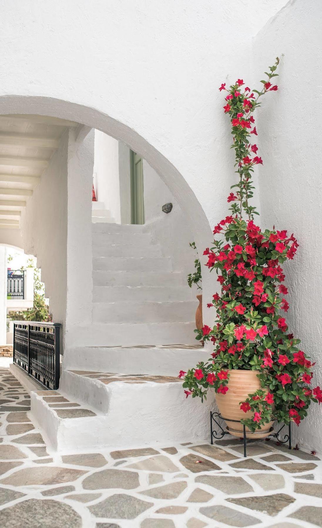 Nastasia Village Naxos City Zewnętrze zdjęcie