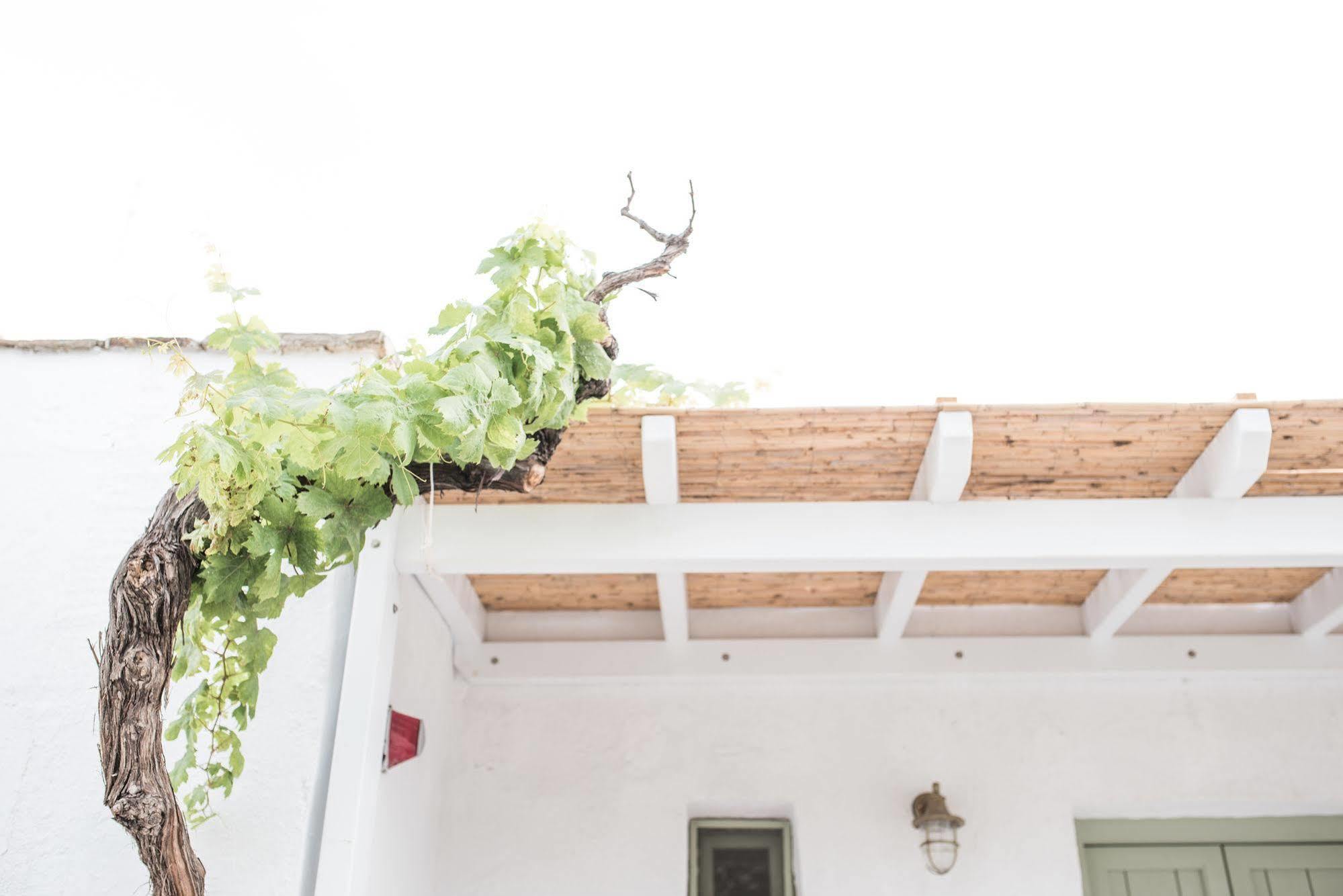 Nastasia Village Naxos City Zewnętrze zdjęcie